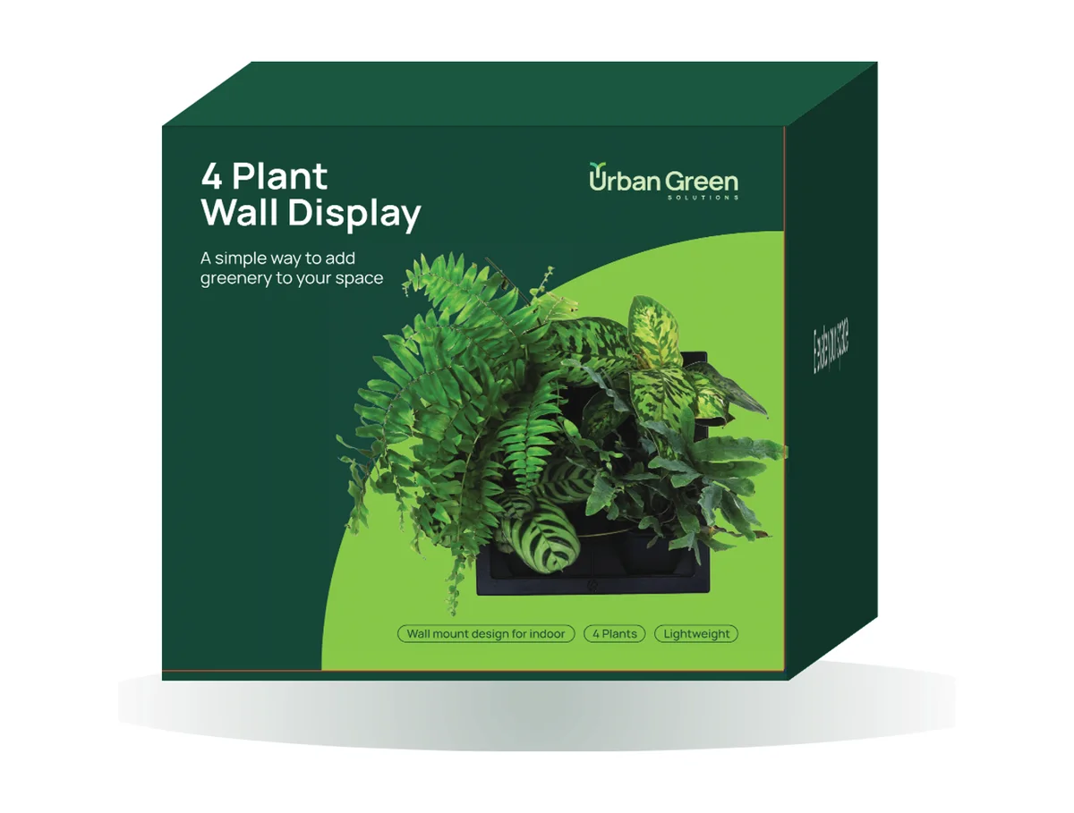 4 Plant Wall Display box — wall mounted planter for four plants